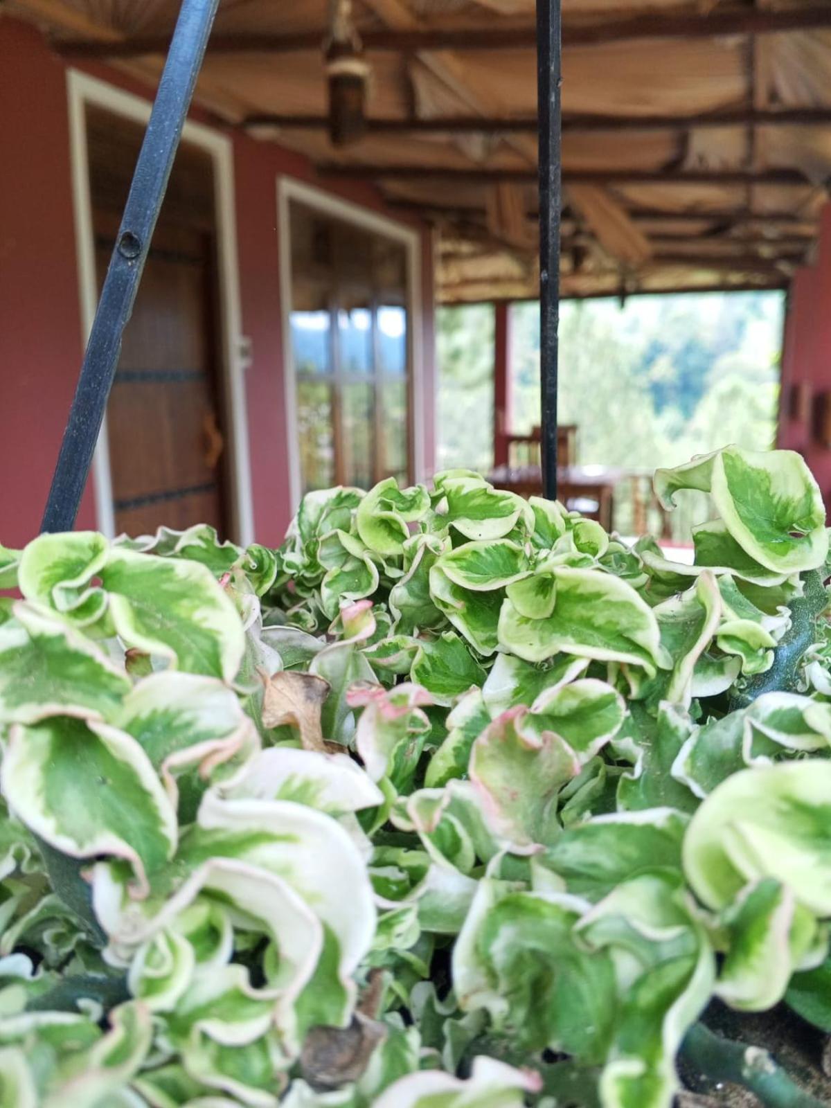 Turn View Resort Ella Ngoại thất bức ảnh